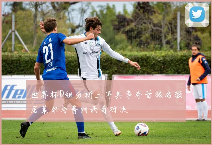 世界杯D组分析土耳其争夺晋级名额居莱尔与普利西奇对决