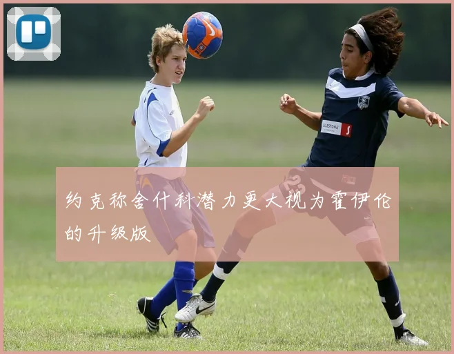 约克称舍什科潜力更大视为霍伊伦的升级版